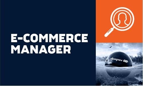 Image result for E Commerce Manager